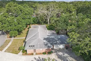 7002 Doreen St, Tampa, FL 33617 - Photo 57