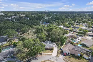 7002 Doreen St, Tampa, FL 33617 - Photo 63