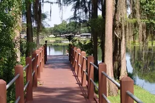 1605 Send Way, Lutz, FL 33549 - Photo 5