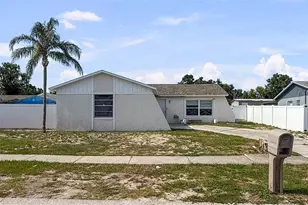 1009 Sagamore Dr, Seffner, FL 33584 - Photo 3