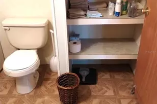 4100 Carefree Way, Zephyrhills, FL 33541 - Photo 21