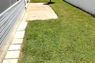 4100 Carefree Way, Zephyrhills, FL 33541 - Photo 5