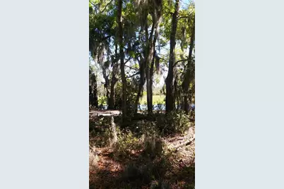 Lake Lowery Road, Haines City, FL 33844 - Photo 11
