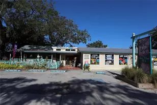 272 Orange St, Palm Harbor, FL 34683 - Photo 55