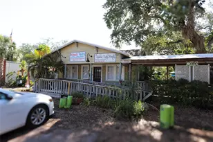 272 Orange St, Palm Harbor, FL 34683 - Photo 41