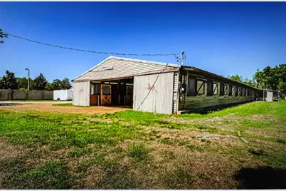 10502 Henderson Road, Tampa, FL 33625 - Photo 3