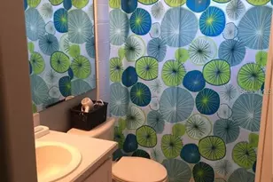 2560 Bear Creek Ct, Kissimmee, FL 34747 - Photo 15