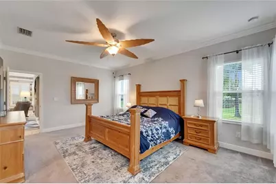 6127 Colmar Place, Apollo Beach, FL 33572 - Photo 47