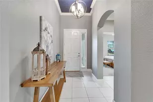 6127 Colmar Pl, Apollo Beach, FL 33572 - Photo 11