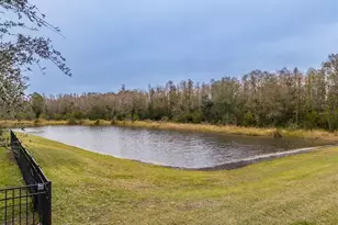 2388 Oakwood Preserve Dr, Wesley Chapel, FL 33543 - Photo 71