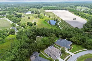 1460 Kensington Woods Dr, Lutz, FL 33549 - Photo 79