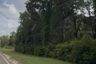 17297 Ponce De Leon Blvd, Brooksville, FL 34614 - Photo 5