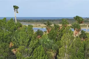 3397 Bluefish Dr, Hernando Beach, FL 34607 - Photo 45