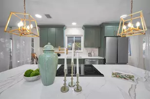 1558 Cottonwood Terrace, Dunedin, FL 34698 - Photo 9