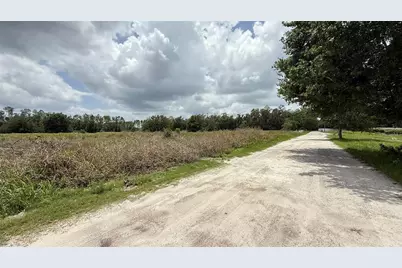 Wells, Wesley Chapel, FL 33545 - Photo 5