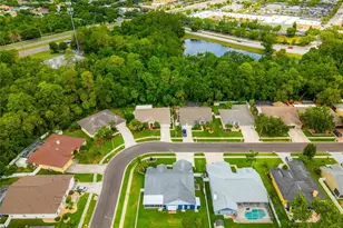 28390 Openfield Loop, Wesley Chapel, FL 33543 - Photo 33