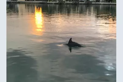 10126 Tarpon Drive, Treasure Island, FL 33706 - Photo 29