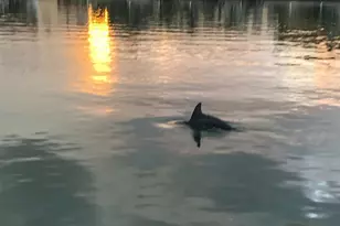 10126 Tarpon Dr, Treasure Island, FL 33706 - Photo 29