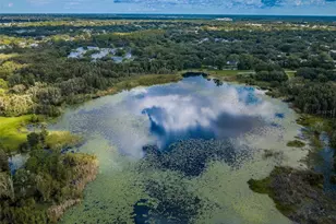 2459 Parkstream Ave, Clearwater, FL 33759 - Photo 61