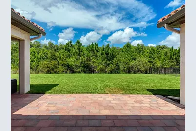 3236 Barbour Trail, Odessa, FL 33556 - Photo 47