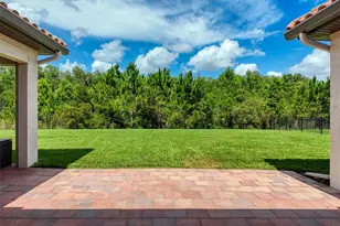 3236 Barbour Trl, Odessa, FL 33556 - Photo 47