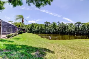 50 Ingrid Pl, Oldsmar, FL 34677 - Photo 49