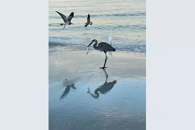 100 Bluff View Drive #511C, Belleair Bluffs, FL 33770 - Photo 57