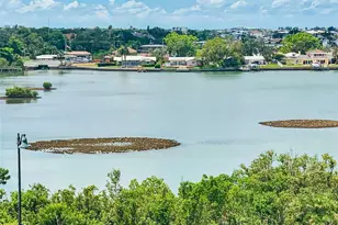 100 Bluff View Dr, Belleair Bluffs, FL 33770 - Photo 31