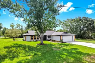 9903 Saddle Rd, Tampa, FL 33626 - Photo 3