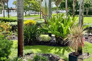 301 23rd Ave NE, Saint Petersburg, FL 33704 - Photo 3