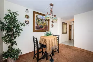 841 4th Ave N, Saint Petersburg, FL 33701 - Photo 9