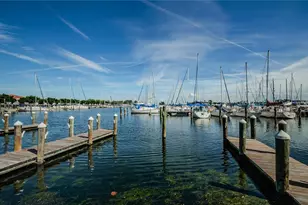 841 4th Ave N, Saint Petersburg, FL 33701 - Photo 83