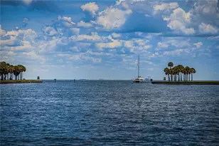 841 4th Ave N, Saint Petersburg, FL 33701 - Photo 93