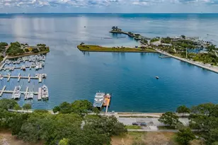 841 4th Ave N, Saint Petersburg, FL 33701 - Photo 67