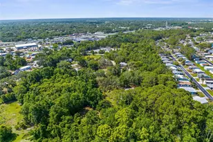 3373 Olson Rd, Spring Hill, FL 34607 - Photo 63