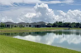 5082 Inshore Landings Dr, Apollo Beach, FL 33572 - Photo 43