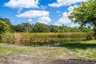 107 Tillett Pl, Terra Ceia, FL 34250 - Photo 23