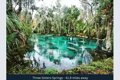 Corner SE 142nd Place & S US Hwy-301, Summerfield, FL 34491 - Photo 17