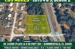 Corner SE 142nd Pl & S US Hwy-301, Summerfield, FL 34491 - Photo 1