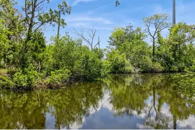 9107 Brunswick Lane, Tampa, FL 33615 - Photo 7