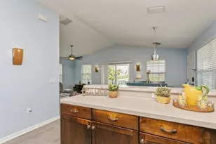9107 Brunswick Ln, Tampa, FL 33615 - Photo 25
