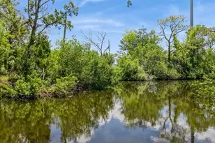 9107 Brunswick Ln, Tampa, FL 33615 - Photo 9