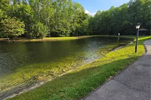 1281 Pine Ridge Cir E, Tarpon Springs, FL 34688 - Photo 29