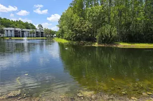 1281 Pine Ridge Cir E, Tarpon Springs, FL 34688 - Photo 3