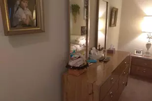 432 Flamingo Dr, Apollo Beach, FL 33572 - Photo 19