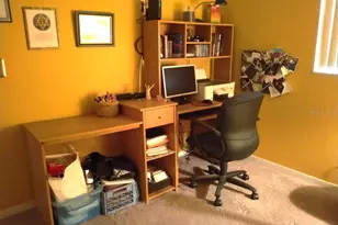 432 Flamingo Dr, Apollo Beach, FL 33572 - Photo 23