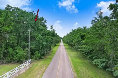 Sw Bethlehem Avenue, Fort White, FL 32038 - Photo 3