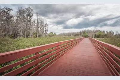 4222 Glade Wood Loop, New Port Richey, FL 34655 - Photo 91