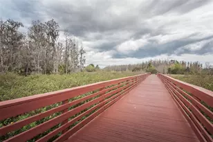 4222 Glade Wood Loop, New Port Richey, FL 34655 - Photo 91