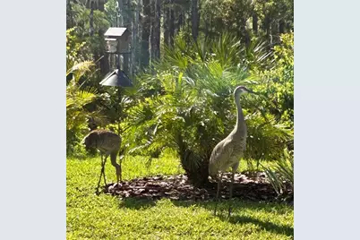 4222 Glade Wood Loop, New Port Richey, FL 34655 - Photo 93